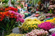 广州鲜花市场，花卉行业风向标