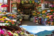 云南开鲜花店成本解析，投资预算与盈利前景一览