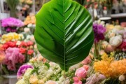 八角金盘叶子引领鲜花店新潮流