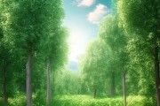 永恒绿意，四季万年青自然