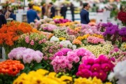 2023年鲜花批发市场趋势洞察与报告