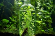 瓶中绿意盎然，揭秘瓶养花卉的水中奥秘与养护技巧