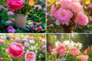 花开季养护秘籍，延长花期，绽放永恒之美
