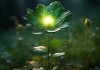永恒光下的神秘常青之花