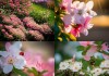 海棠花四季繁盛攻略，掌握扦插技巧，花开更绚烂