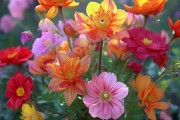 花插花花期奥秘，绽放之美，持久绽放