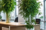 办公室绿植搭配，左右各一瓶，激活工作效率的养花美学