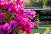 三角梅打顶促花攻略，掌握技巧，让三角梅绽放如画