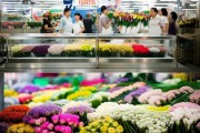米贝鲜花批发透明揭秘，品质与双赢之道