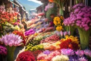 云南花卉市场，揭秘鲜花魅力与奥秘