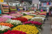 荆州鲜花批发市场行情解析与选购攻略