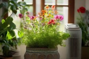 室内养花巧用鸡粪施肥，异味难题一招解决！