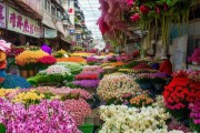昆明鲜花市场探秘，行情与花卉经济新趋势揭晓