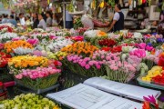 揭秘鲜花市场批发，成本解析与采购指南