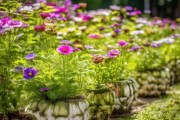 百香果壳，绿色环保的养花新宠