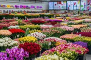 2023最新鲜花种植批发大盘点，种植者市场行情速览