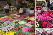 昆朋斗南鲜花批发，品质与兼顾的选购指南