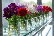水培花卉新贵，揭秘超长花期水培鲜花品种