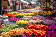 鲜花市场行情揭秘，与品质的平衡艺术