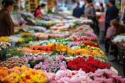 鲜花市场动态，波动与消费者需求解析