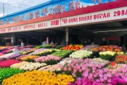 云南鲜花批发，品质实惠两相宜