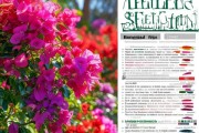 三角梅盛开秘籍，肥料挑选全攻略，让家园绽放色彩