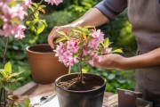 海棠换季换盆攻略，春季花期养护秘籍