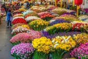 云南鲜花批发大揭秘，品种繁多，实惠，选购攻略一网打尽