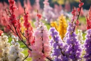 五色梅花季，绚烂色彩绽放之美