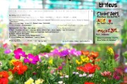 一月份花卉种植与养护宝典