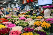 昆明鲜花批发实时快览，助力花店高效采购