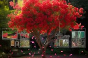 三角梅掉花原因大揭秘