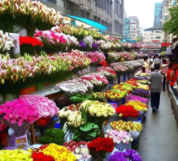 昆明鲜花批发市场行情解析与选购攻略,昆明鲜花批发市场行情解析与选购攻略,百合,第1张